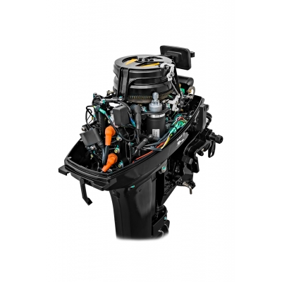 Мотор Reef Rider RR9.9FES Pro